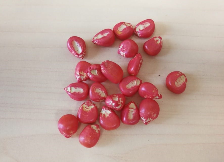 圖片關(guān)鍵詞 圖片關(guān)鍵詞