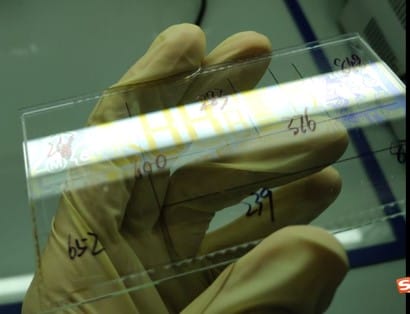 1658466814630707.jpg PI層厚度測(cè)量.jpg